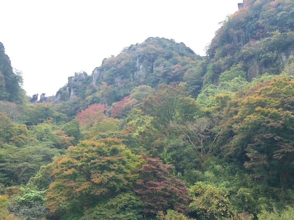 紅葉指数調査 中津市 耶馬溪編第1弾 10月30日更新 ジモッシュ 地元をダッシュするニュースサイト ジモッシュ