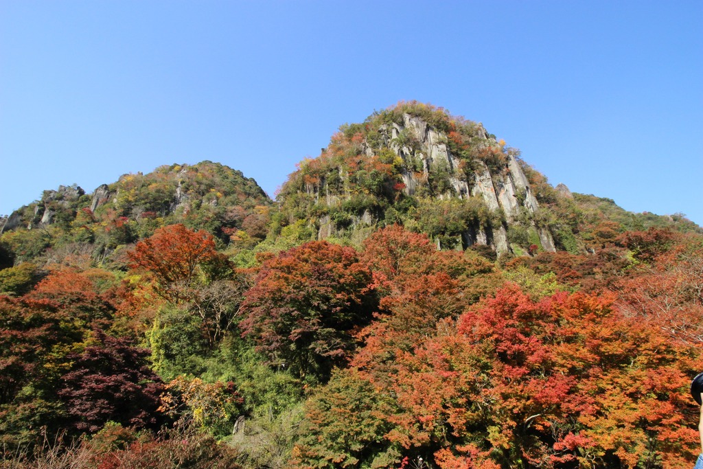 紅葉指数調査 中津市 耶馬溪編第2弾 11月10日更新 ジモッシュ 地元をダッシュするニュースサイト ジモッシュ