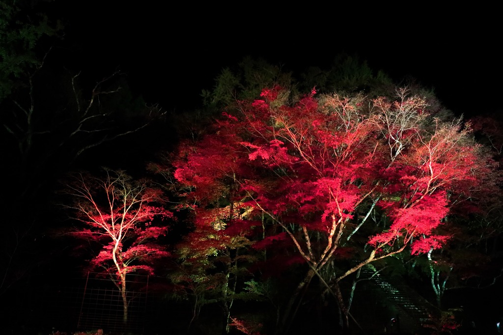 写真館 くぼ2ちゃんねる写真帖 Vol 1 ジモッシュ 地元をダッシュするニュースサイト ジモッシュ