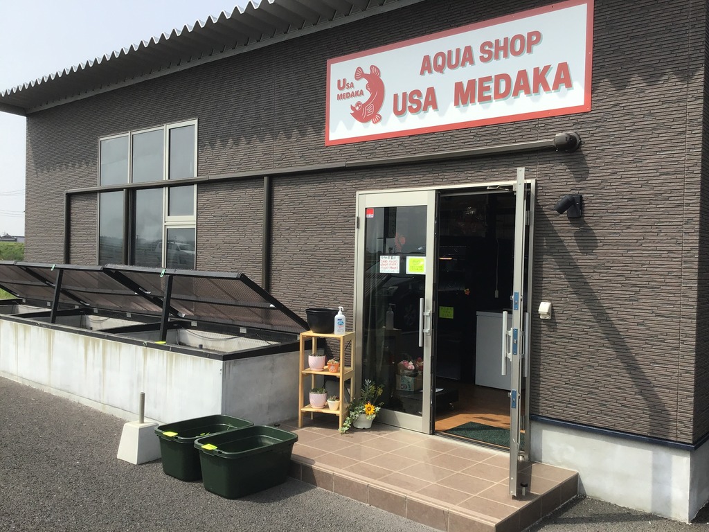 新店舗 宇佐市 Usa Medaka メダカ ベタ 金魚店がニューオープン ジモッシュ 地元をダッシュするニュースサイト ジモッシュ