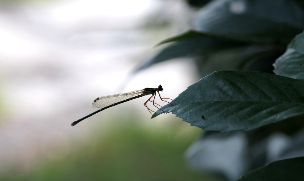 写真館】くぼ2ちゃんねる写真帖（Vol.15）  ジモッシュ  地元を 