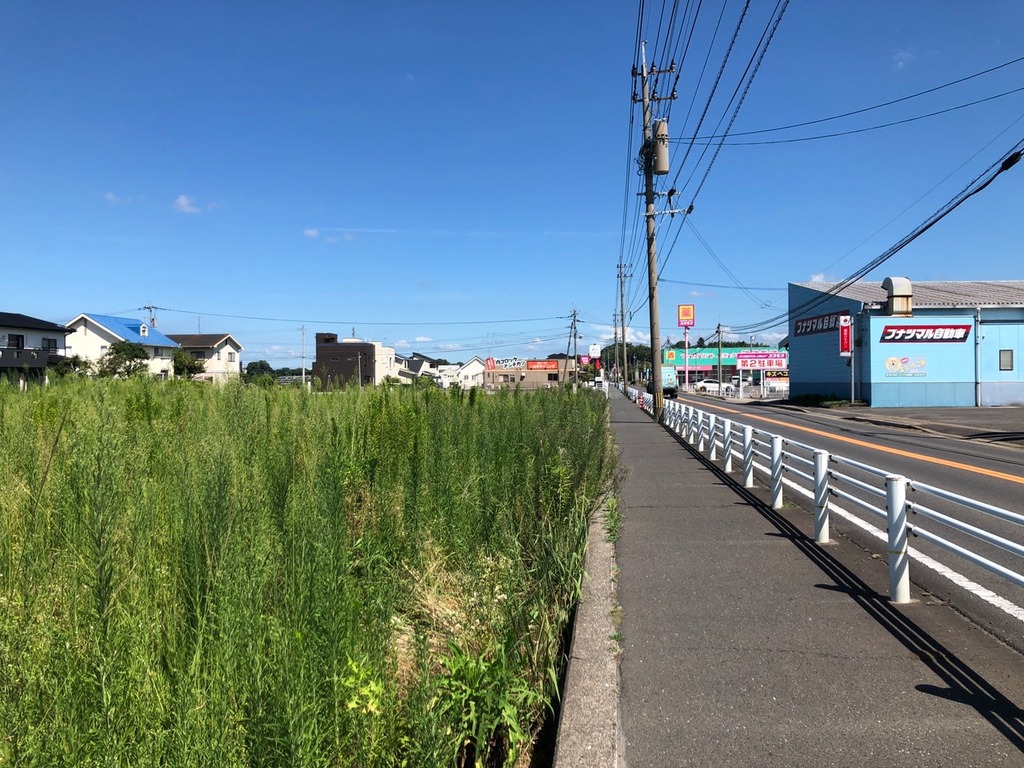 新店舗 中津市 永添にドラッグストアモリができるらしい ジモッシュ 地元をダッシュするニュースサイト ジモッシュ