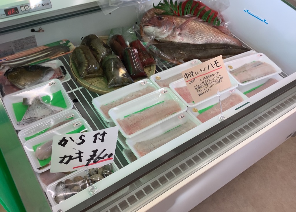 新店舗/中津市】まちのお魚屋さん『中津はやし水産 海渡（かいと）』が