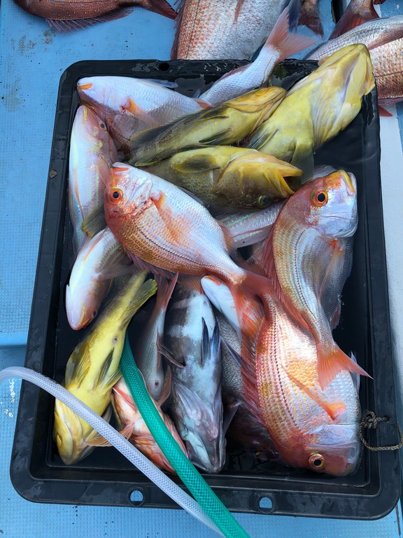 釣りガール急増中 ジモッシュ 地元をダッシュするニュースサイト ジモッシュ