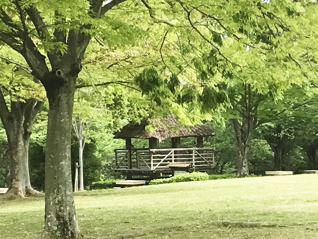 子どもと、家族と！おでかけ特集【上毛町／牛頭天王公園（ごずてんのう