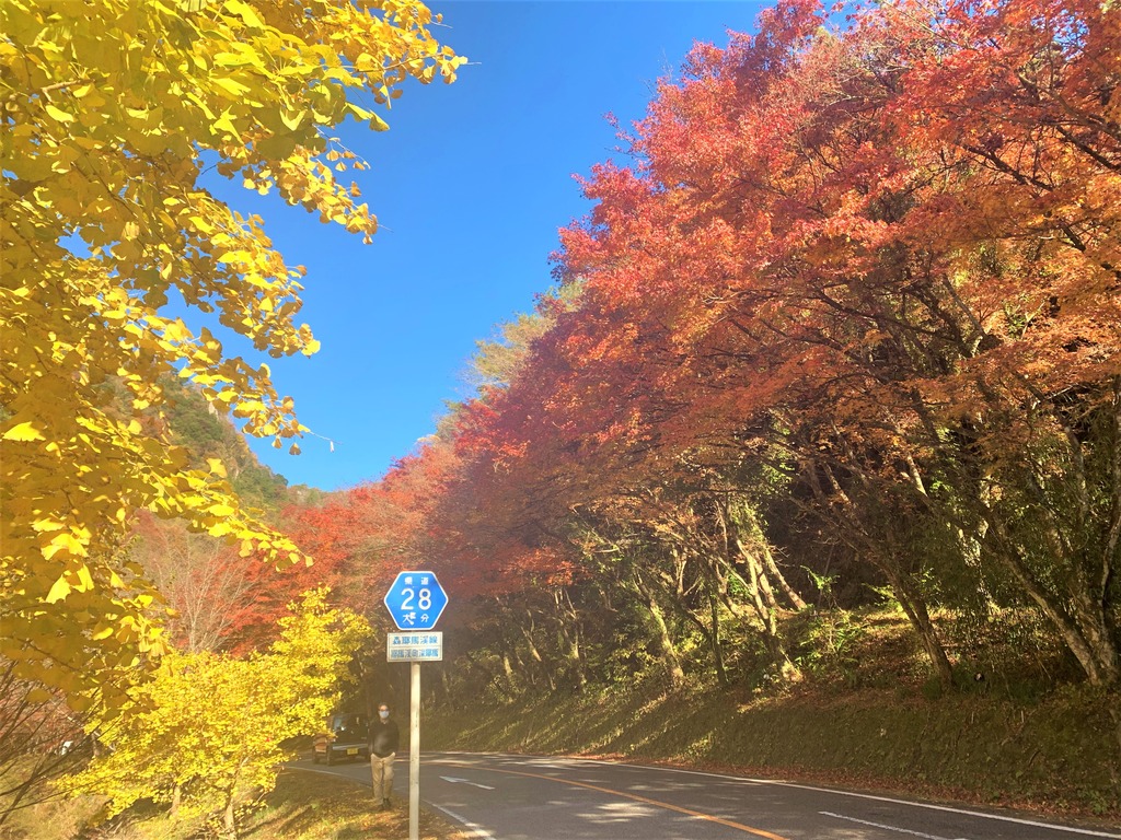 マップ有！紅葉スポット情報【2022年最新版】/ 中津市・宇佐市・豊後