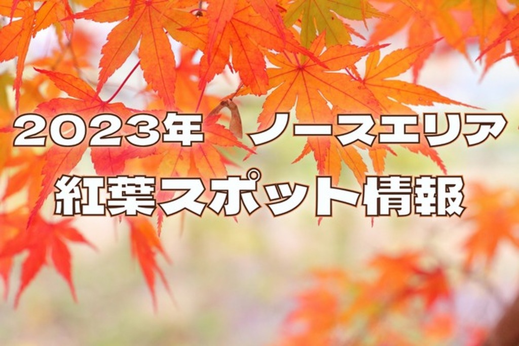 マップ有！紅葉スポット情報【2023年最新版】/ 中津市・宇佐市・豊後