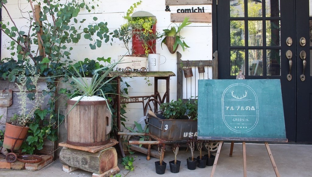 新店舗 ガーデニング好き必見のグリーンショップが中津にオープン ジモッシュ 地元をダッシュするニュースサイト ジモッシュ