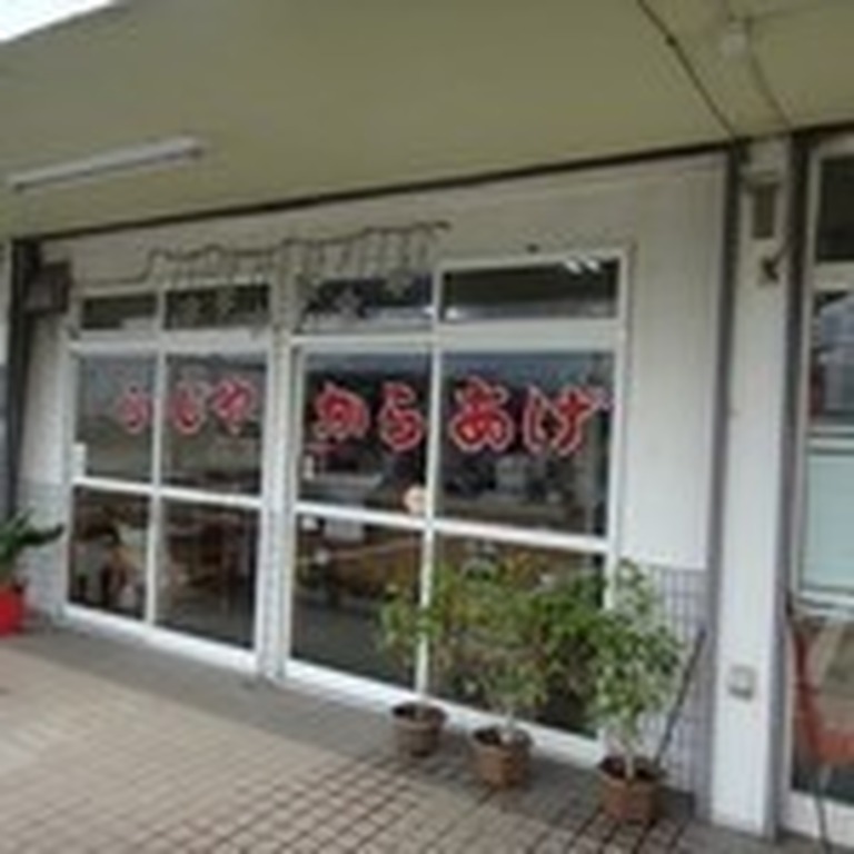 ふじやからあげ真玉店 豊後高田市 テイクアウト 地元をダッシュするニュースサイト ジモッシュ