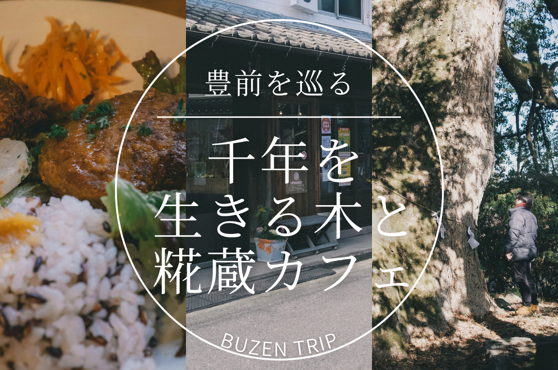 豊前を巡る。─ 千年を生きる木と、麹蔵でいただいた手作りごはん
