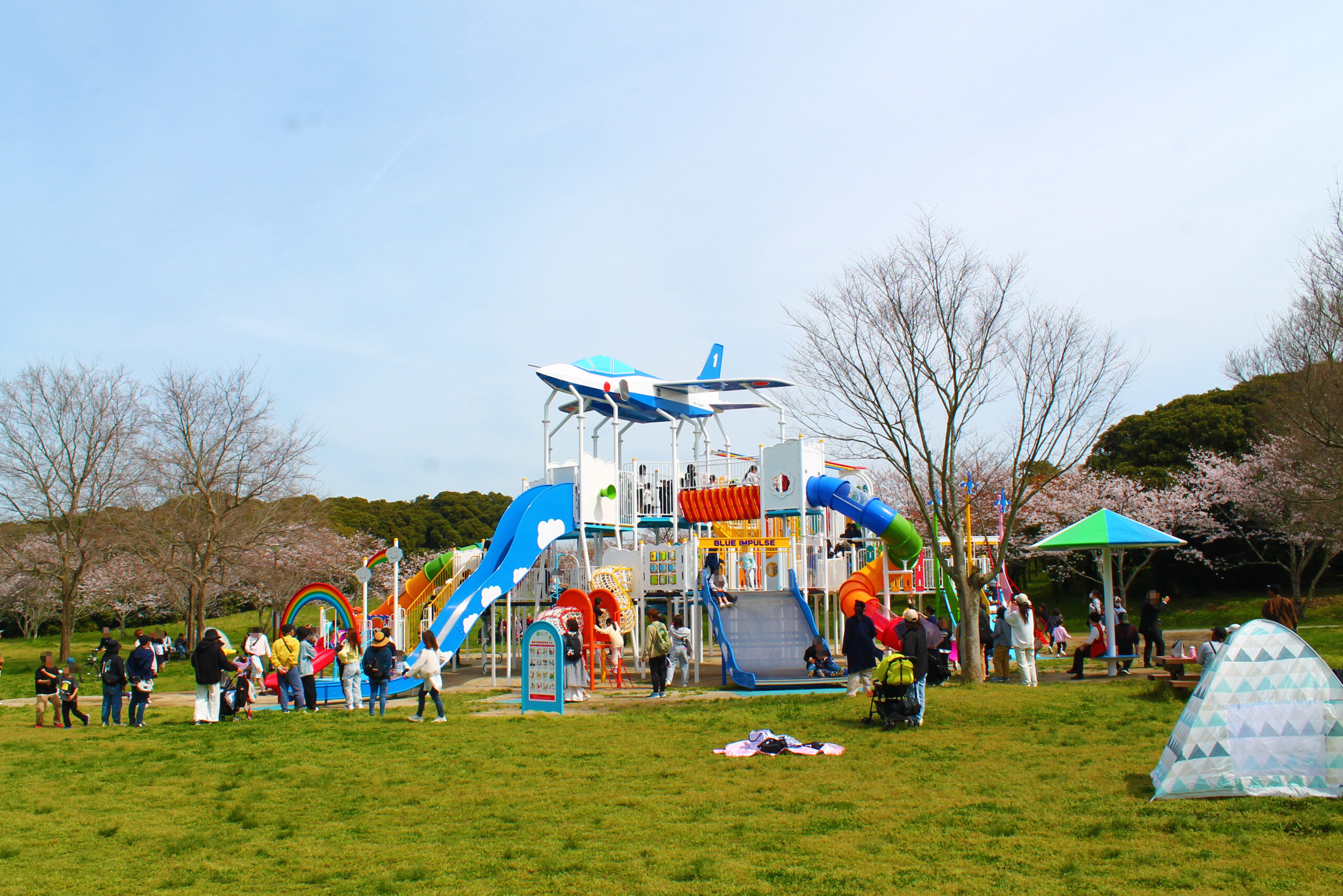 桜が満開の弓の師近隣公園全体の風景。新遊具の周りの芝生広場には、サンシェードやテントを広げてピクニックを楽しむ多くの家族連れで賑わっている。